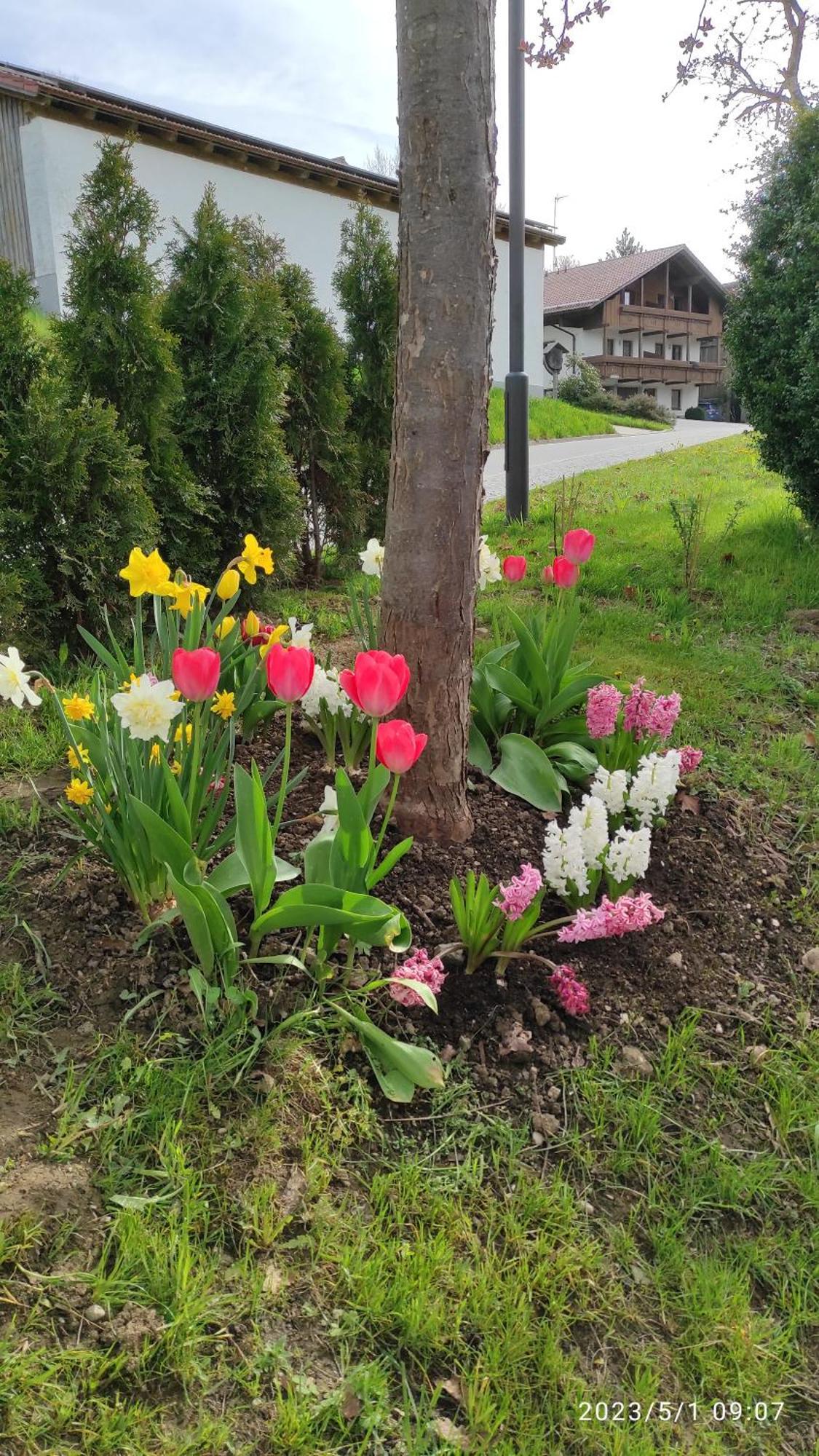 Ferienhaus Am Bach 阿赫斯拉赫 外观 照片